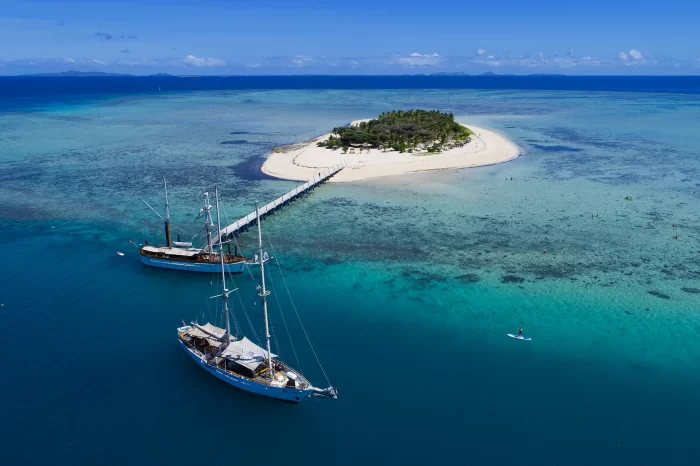 Day Cruise and Sailing