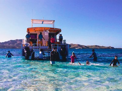 Day Cruise and Sailing