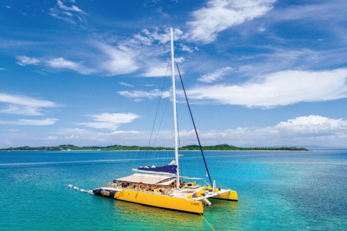 Day Cruise and Sailing