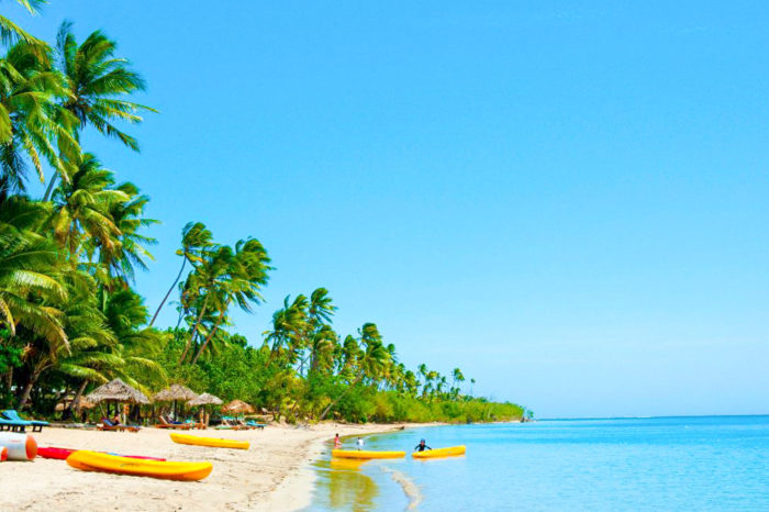 Day Cruise and Sailing