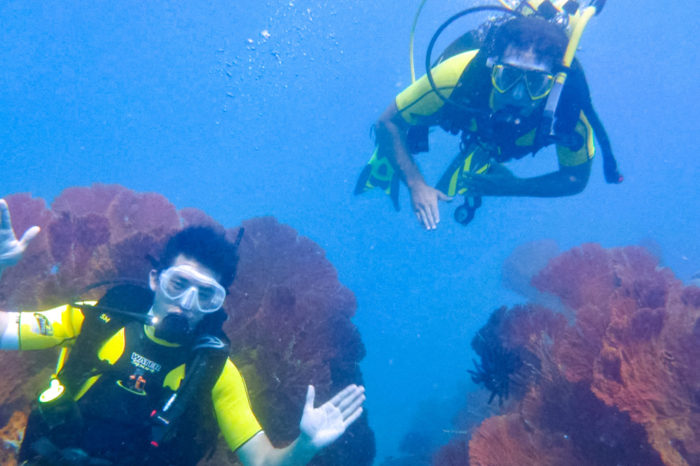 Adrenaline Adventure