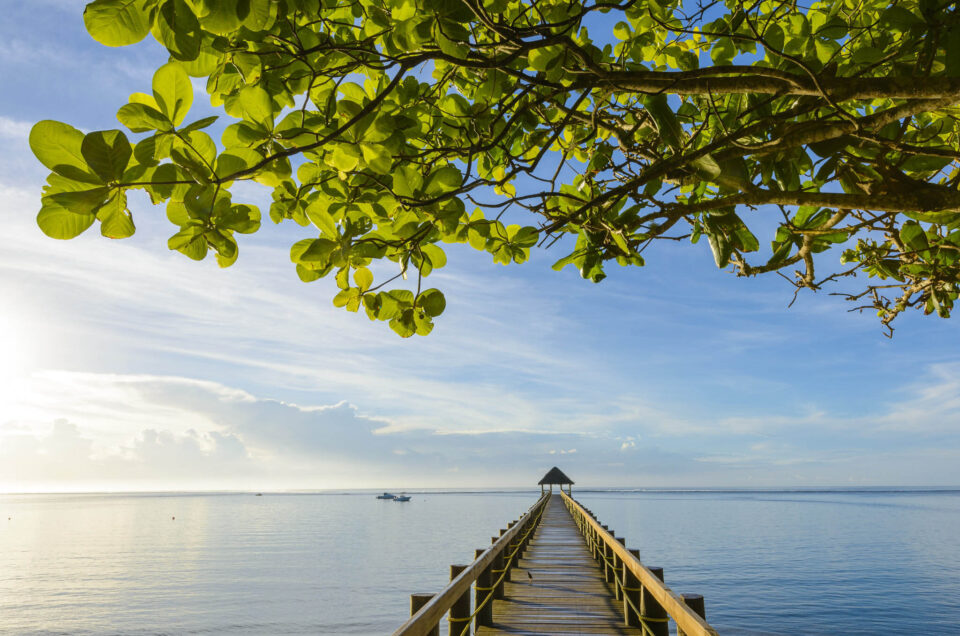 Maui Bay